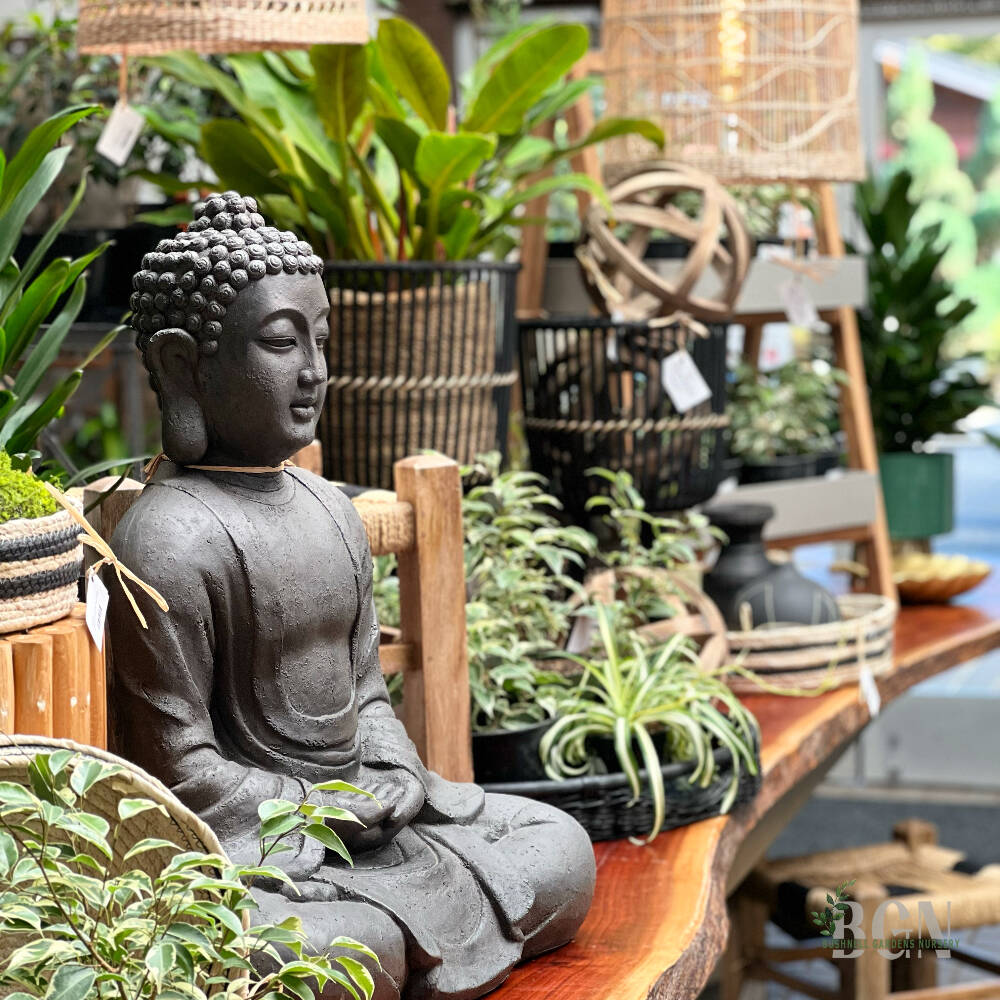HOME & GARDEN | Bushnell Gardens Nursery